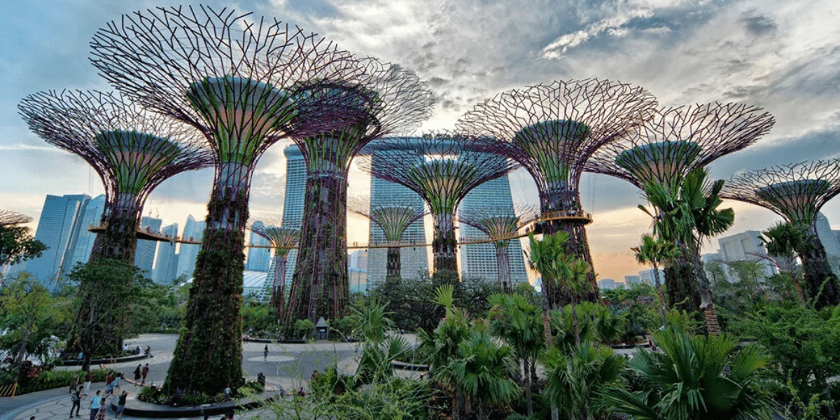 Singapore 3-min.webp